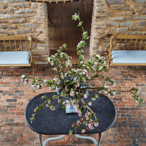 Eco Restaurant - Pensons